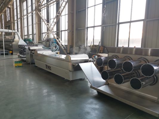 kupować Wytłaczarka nylonowa 55kw 6400 Dtex Dekoracja ogrodowa online manufacture